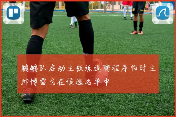 鹈鹕队启动主教练选聘程序临时主帅博雷戈在候选名单中