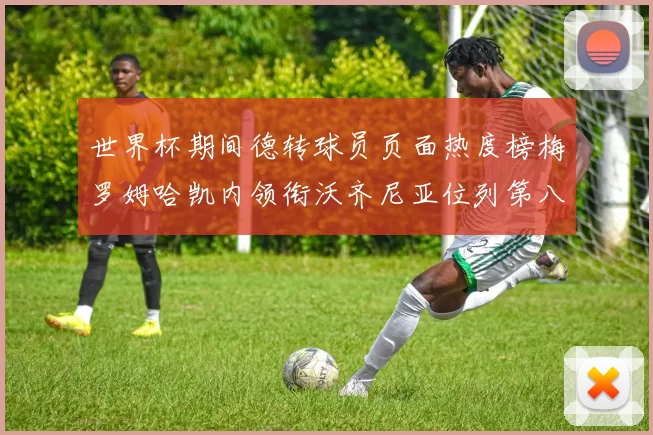世界杯期间德转球员页面热度榜梅罗姆哈凯内领衔沃齐尼亚位列第八
